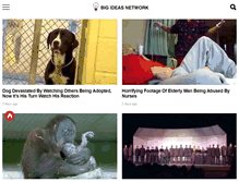 Tablet Screenshot of bigideasnetwork.com